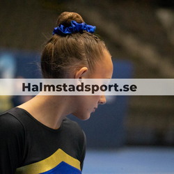 Rikstrean